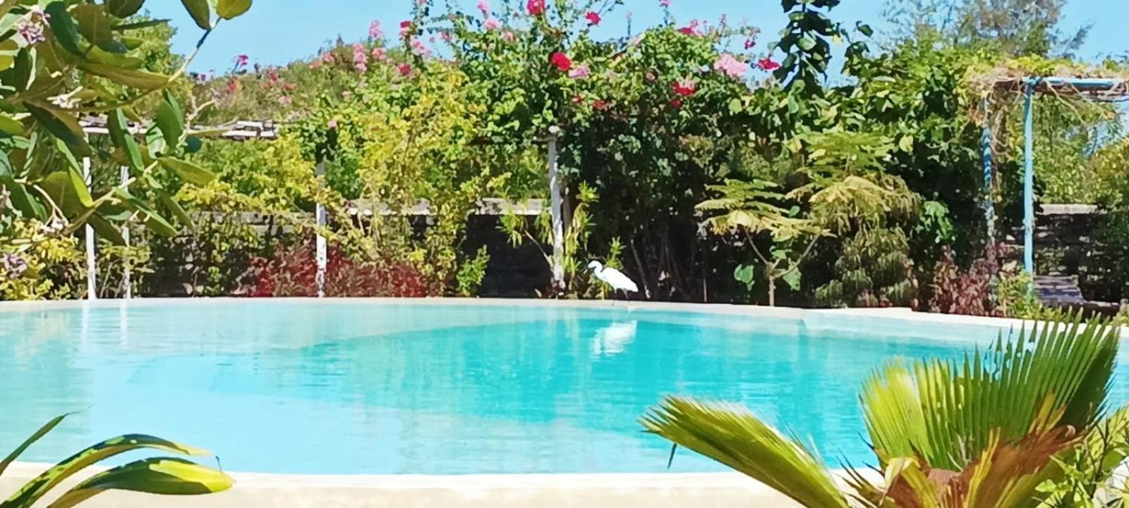 Matemwe Ocean View Villas Экстерьер фото
