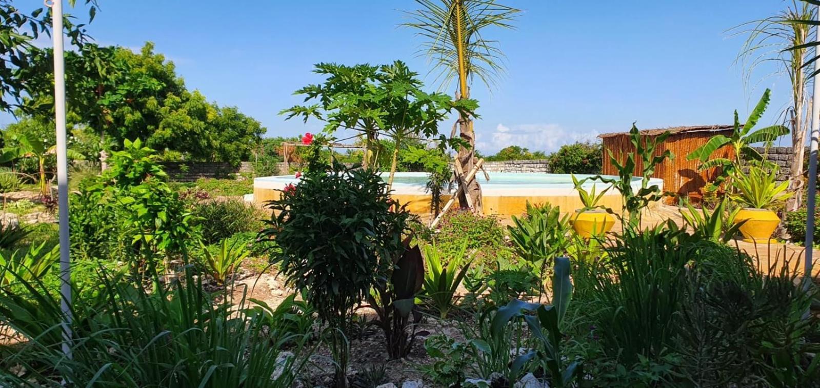 Matemwe Ocean View Villas Экстерьер фото